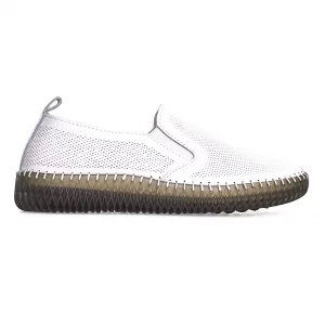 �������� ����� ���� 529 � ���������� ���� KD SL 529 1 ����