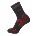  Fanatics 0421  