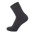 ALPINE 0923