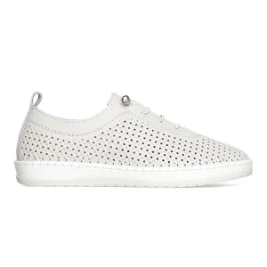  KD SL 739 6 