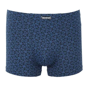 ����� INDENA 81361 ������