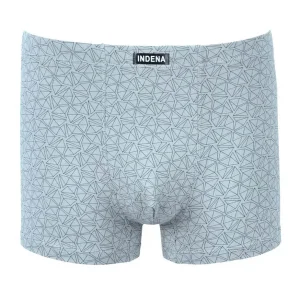 ����� INDENA 81361 ��.����