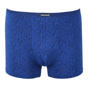 ����� INDENA 61038 �����